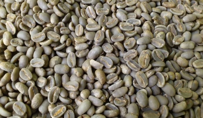 Indonesia Arabica Gayo Coffee Beans